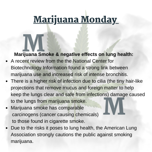 Marijuana Monday - April 20