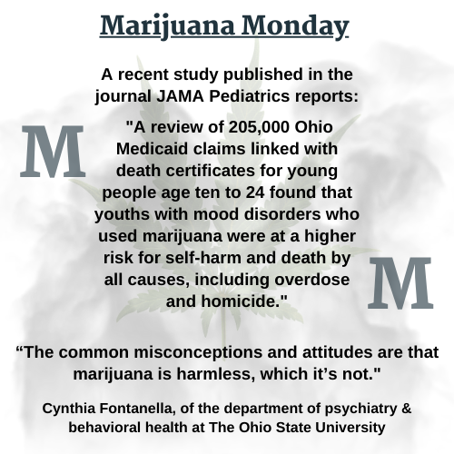 Marijuana Monday - April 13